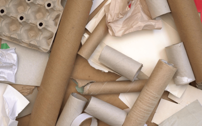 The Importance of Recycled Paper in Today’s World